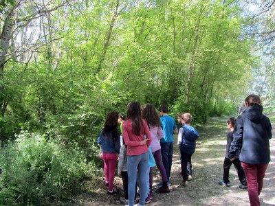 <bound method DexterityContent.Title of <NewsItem at /fs-paeria/paeria/ca/actualitat/noticies/27871>>.