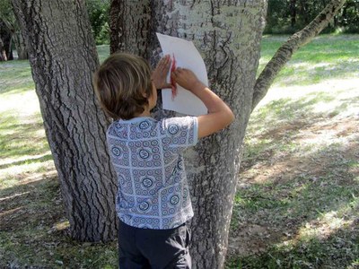 Els tallers per a petits naturalistes s’emmarquen dintre del programa d’Ecoactivitats.
