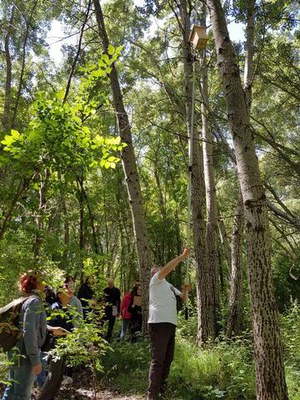 S'han revisat  19 caixes niu aquest matí.