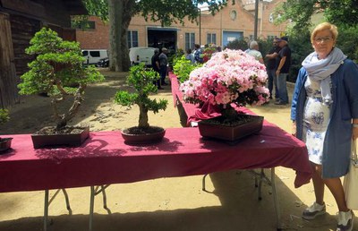 <bound method DexterityContent.Title of <NewsItem at /fs-paeria/paeria/ca/actualitat/noticies/28134>>.