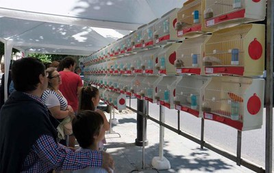 <bound method DexterityContent.Title of <NewsItem at /fs-paeria/paeria/ca/actualitat/noticies/28148>>.