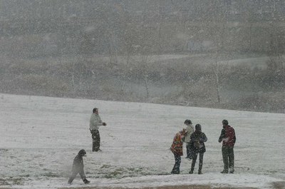 La Paeria ha actuat amb celeritat per evitar el risc a les persones.