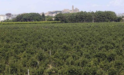 <bound method DexterityContent.Title of <NewsItem at /fs-paeria/paeria/ca/actualitat/noticies/28430>>.