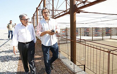 El Museu del Clima i la Ciència compta amb una pèrgola central de 900 m2 que acollirà 24 trepadores que crearan un sostre vegetal de 2,5 m de vegetac….