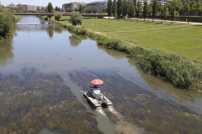 Aquesta actuació, que es fa en tot el tram urbà de la ciutat, és a dir, entre Pardinyes i els Instituts, durarà uns deu dies.