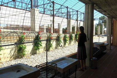 El Museu del Clima i de la Ciència, el darrer dels equipaments culturals estrenats per la Paeria.