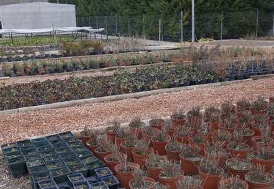 <bound method DexterityContent.Title of <NewsItem at /fs-paeria/paeria/ca/actualitat/noticies/28771>>.