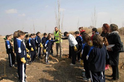 Imatge_cat_1503.jpg.