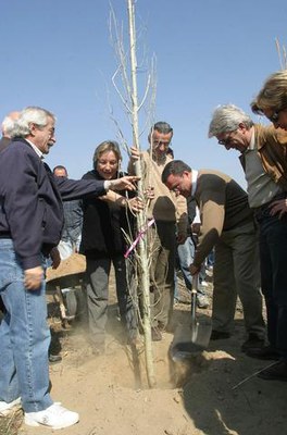 Imatge_cat_1506.jpg.