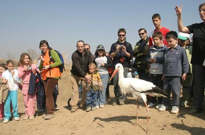 Imatge_cat_1509.jpg.