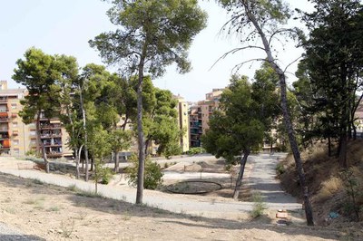 A la tardor, començarà la reforestació del parc que s'ha generat entorn del Museu.