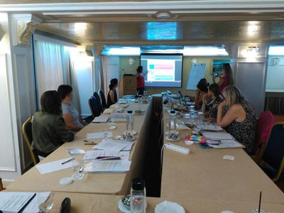 En aquestes sessions de treball es fa una valoració del punt on es troba el projecte i es revisa la tasca realitzada durant el primer any. Al mateix ….