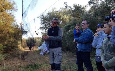 S'han capturat 49 ocells de 10 espècies diferents.