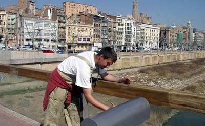 Imatge_cat_1529.jpg.