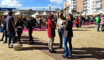 El tinent d'alcalde Rafael Peris ha fet balanç de la novena edició de la Festa.
