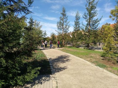 La visita d'aquest diumenge a l'Arborètum forma part de les activitats de tardor organitzades per Jardí Botànic de Lleida.