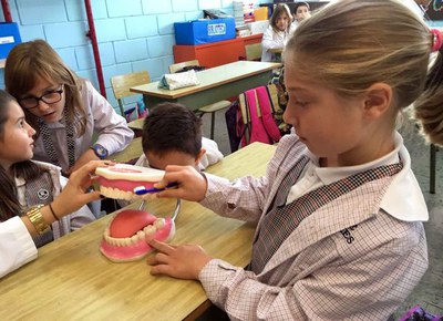 L’activitat s’ha iniciat aquesta setmana amb alumnes dels col·legis Mirasan i Riu Segre.