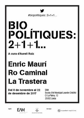 El cartell d'aquesta proposta artística.
