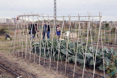 Els agricultors i els productors de l’Horta de Lleida promouen la seva activitat i productes de proximitat aquest cap de semana a través de la inicia….