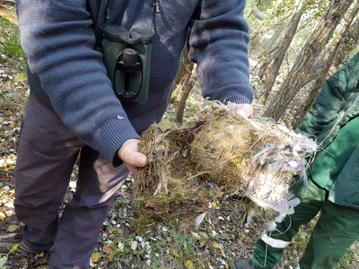 Un dels nius trobats durant el recorregut.
