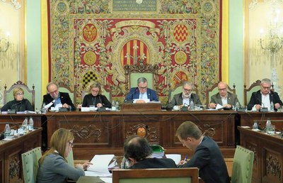 Imatge_cat_38230.jpg.