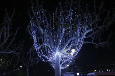 Decoració tipus Camps Elisis de París, en els arbres de la Rambla Ferran i l'avinguda Francesc Macià.