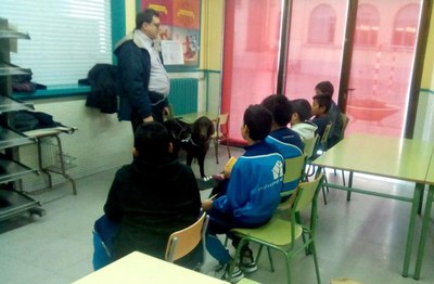 La Paeria, amb la col·laboració de diverses entitats, organitza des del 2006 l’activitat “Ara tu tens l’oportunitat, Viu les discapacitats”.