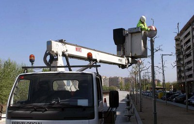 Imatge_cat_1577.jpg.