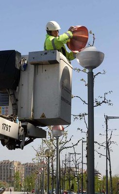 Imatge_cat_1578.jpg.