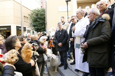Molts lleidatans i lleidatanes han portat les seves mascotes perquè fossin beneïdes pel Bisbe de Lleida..