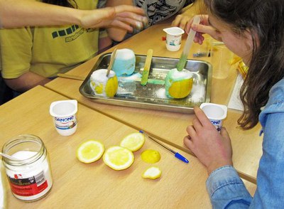 El Servei d’Educació de la Paeria ha iniciat una nova edició d'"Stic Jove" i "Xperimenta", en què es combina l’aprenentatge i el servei a la comunita….