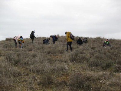 L’Ajuntament de Lleida inicia un cicle de plantacions d’arbres i arbusts als espais naturals i a la ciutat.
