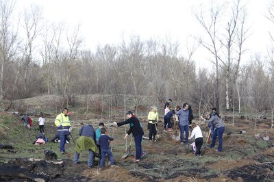 Una activitat familiar per recuperar un espai malmès pels incendis.