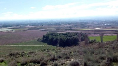 Els participants d'aquest diumenge han descobert el paisatge de l'horta a través dels seus sòls.