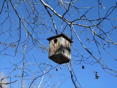 <bound method DexterityContent.Title of <NewsItem at /fs-paeria/paeria/ca/actualitat/noticies/30182>>.