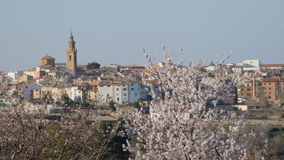 <bound method DexterityContent.Title of <NewsItem at /fs-paeria/paeria/ca/actualitat/noticies/30303>>.