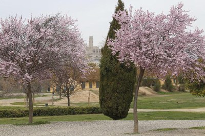 <bound method DexterityContent.Title of <NewsItem at /fs-paeria/paeria/ca/actualitat/noticies/30375>>.