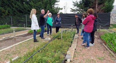 S’ha ensenyat com preparar el material per obtenir noves plantes per reproducció vegetativa amb el substrat i les condicions ambientals més adients e….