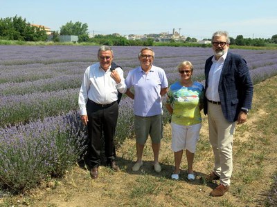 L'alcalde, Àngel Ros, i el tinent d'alcalde Fèlix Larrosa han visitat l'explotació d'Aromes de Can Rosselló aquest matí.