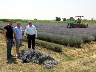 L'alcalde ha pogut presenciar les primeres tasques de sega de les plantes.