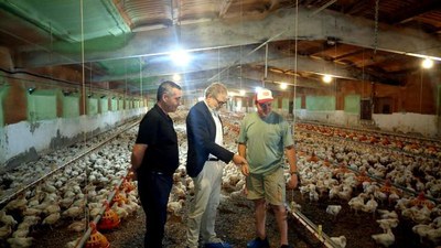 El regidor de l'Horta també va visitar aquesta granja de pollastres de la partida Rufea.