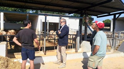 Larrosa durant la seva visita a la granja de vedells Lluís Plana de Rufea.