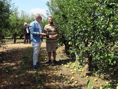 <bound method DexterityContent.Title of <NewsItem at /fs-paeria/paeria/ca/actualitat/noticies/30729>>.