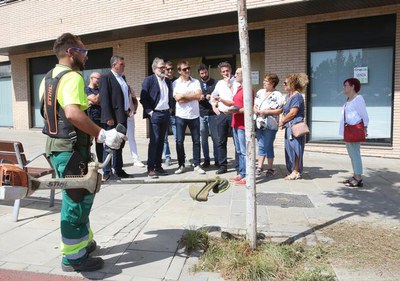 La Paeria vetlla pel bon estat de la jardineria de la ciutat.