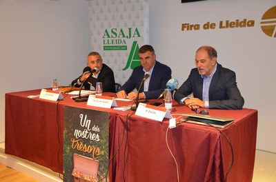 Presentació de la campanya “Un dels nostres tresors” per a la promoció de la fruita dolça de Lleida.