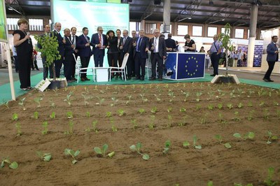 L'estand de l'Ajuntament, mostra un hort urbà..