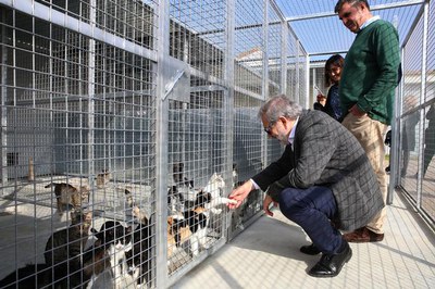 <bound method DexterityContent.Title of <NewsItem at /fs-paeria/paeria/ca/actualitat/noticies/31225>>.