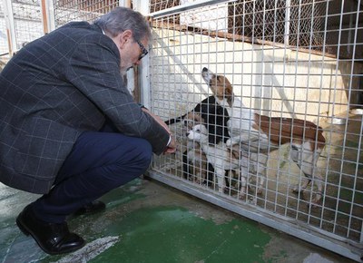 Les obres han permès millorar el benestar dels animals que estan en aquest espai.