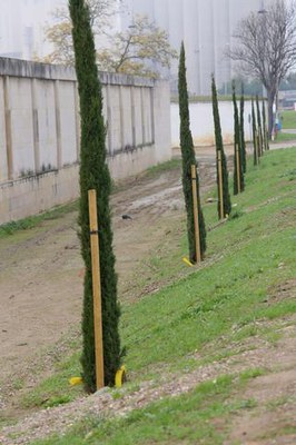 <bound method DexterityContent.Title of <NewsItem at /fs-paeria/paeria/ca/actualitat/noticies/31243>>.