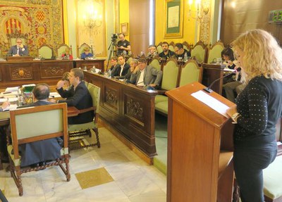 L'alcaldessa pedània de Raimat, Eva Horcajada ha intervingut avui al ple.